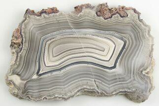 Polished Banded Agate Slice - Chihuahua, Mexico #198163