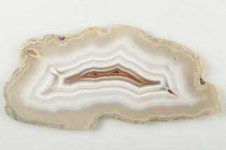 3.8" Polished Laguna Agate Slice - Mexico - Crystal #198175