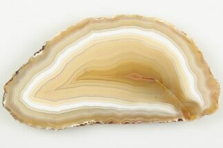 2.7" Polished Banded Agate Slice - Mexico - Crystal #198181