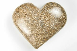 2.3" Polished Dinosaur Bone (Gembone) Heart - Morocco - Fossil #198468