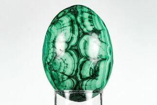 2.4" Flowery, Polished Malachite Egg - Congo - Crystal #199125