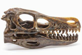 Carved Pietersite Dinosaur Skull - Very Chatoyant #199473