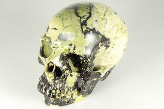 7" Realistic, Polished "Yellow Turquoise" Jasper Skull - Magnetic - Crystal #199584
