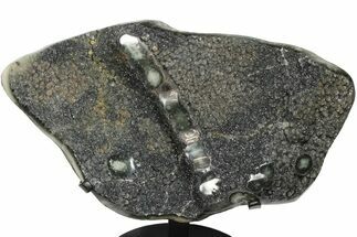 Sparkling Orange/Silver Druzy Quartz Geode Section - Uruguay #199679