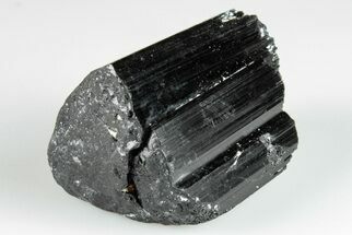 1.45" Black Tourmaline (Schorl) Crystal - Madagascar - Crystal #200418