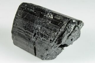 2" Black Tourmaline (Schorl) Crystal - Madagascar - Crystal #200424