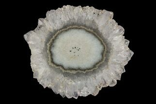 1.6" Amethyst Stalactite Slice - Uruguay - Crystal #187494