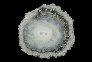 1.4" Amethyst Stalactite Slice - Uruguay - Crystal #187497