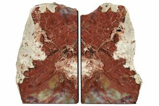 9.2" Tall, Arizona Petrified Wood Bookends - Fossil #202306