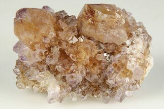 Cactus Quartz (Amethyst) Crystal Cluster - South Africa #201705
