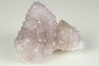 Cactus Quartz (Amethyst) Crystal Cluster - South Africa #201708
