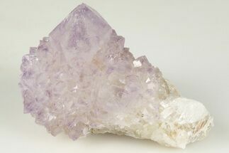 Cactus Quartz (Amethyst) Crystal Cluster - South Africa #201727
