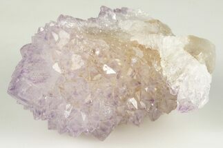 Cactus Quartz (Amethyst) Crystal Cluster - South Africa #201731