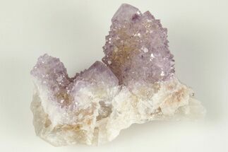 Cactus Quartz (Amethyst) Crystal Cluster - South Africa #201734
