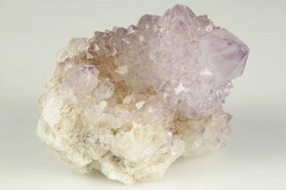 1.5" Cactus Quartz (Amethyst) Crystal - South Africa - Crystal #201737