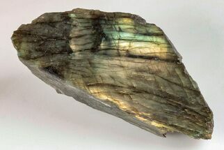 3.8" Single Side Polished Labradorite - Madagascar - Crystal #202667