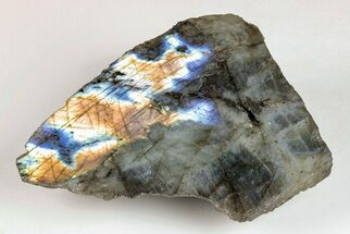 3.25" Single Side Polished Labradorite - Madagascar - Crystal #202668