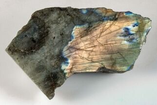 3.45" Single Side Polished Labradorite - Madagascar - Crystal #202673