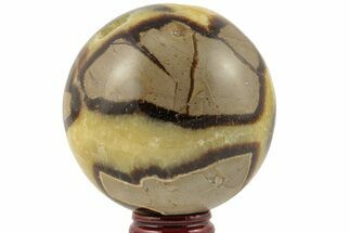 Polished Septarian Sphere - Madagascar #203648