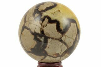 2.7" Polished Septarian Sphere - Madagascar - Crystal #203650