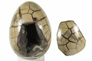 8.3" Septarian "Dragon Egg" Geode - Removable Section - Crystal #203813
