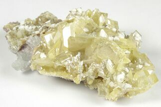 3.4" Yellow Wulfenite and Botryoidal Mimetite - La Morita Mine, Mexico - Crystal #205019