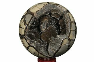 6.3" Septarian Geode Sphere - Madagascar - Crystal #204059
