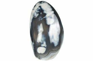 6.7" Free-Standing, Polished Orca Agate - Madagascar - Crystal #205462