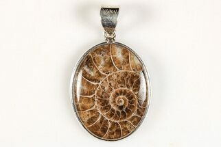 1.35" Fossil Ammonite Pendant - 110 Million Years Old - Fossil #205785
