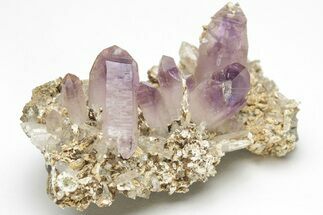 Amethyst Crystal Cluster - Las Vigas, Mexico #204659