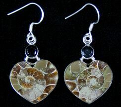 Heart Shaped Ammonite Fossil Earrings - Sterling Silver #12752