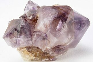Dark Purple Cactus Quartz (Amethyst) Crystals - South Africa #206258