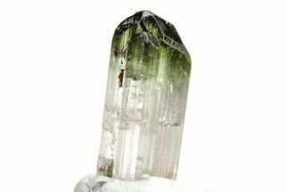 Bi-Colored Elbaite Tourmaline Crystal - Rubaya, DR Congo #206882