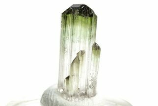 Bi-Colored Elbaite Tourmaline Crystal - Rubaya, DR Congo #206883