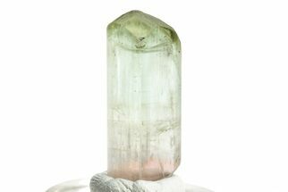 Bi-Colored Elbaite Tourmaline Crystal - Rubaya, DR Congo #206890
