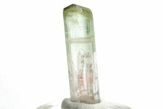 Bi-Colored Elbaite Tourmaline Crystal - Rubaya, DR Congo #206891