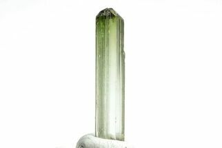 Green Elbaite Tourmaline Crystal - Rubaya, Congo #206896