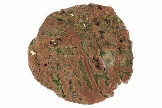 Polished Rainforest Jasper (Rhyolite) Slab - Australia #208127