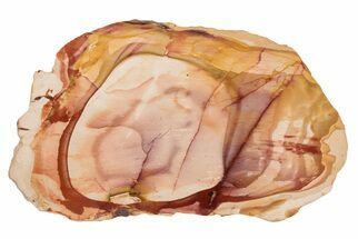Vibrant, Polished Mookaite Jasper Slab - Australia #208170