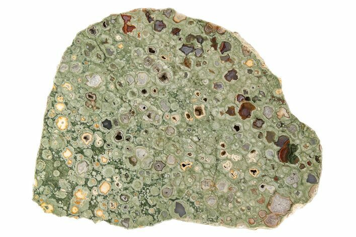 Pyroclastic Rhyolite Green 9.3
