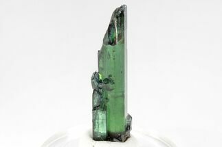 Gemmy, Blue-Green Vivianite Crystal - Cabeça do Cachorro, Brazil #208697