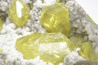 Striking Yellow Sulfur Crystals on Fluorescent Aragonite - Italy #208738