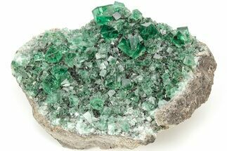 Fluorescent Green Fluorite Cluster - Diana Maria Mine, England #208861