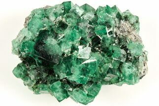 Fluorescent Green Fluorite Cluster - Diana Maria Mine, England #208877