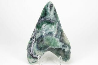 Realistic, Carved Green/Purple Fluorite Megalodon Tooth - Replica #209304