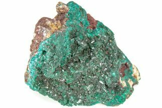 Forest Green Dioptase Crystal Cluster - N'tola Mine, Congo #209679