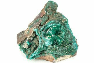 Sparkling Dioptase Crystals with Mimetite - N'tola Mine, Congo #209687