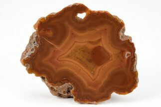 Colorful, Banded Condor Agate - Argentina #209582