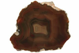Polished, Deep Red, Banded Condor Agate - Argentina #209613