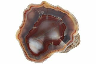 Colorful, Polished Condor Agate - Argentina #209616